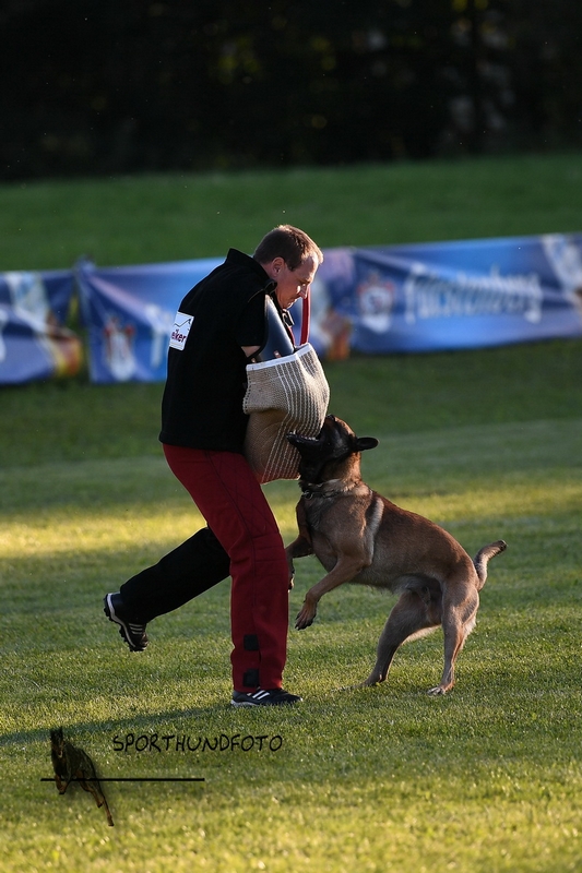 Impressionen 490.jpg